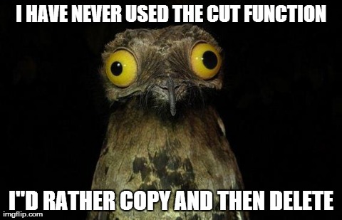 Weird Stuff I Do Potoo Meme | I HAVE NEVER USED THE CUT FUNCTION I"D RATHER COPY AND THEN DELETE | image tagged in memes,weird stuff i do potoo,AdviceAnimals | made w/ Imgflip meme maker