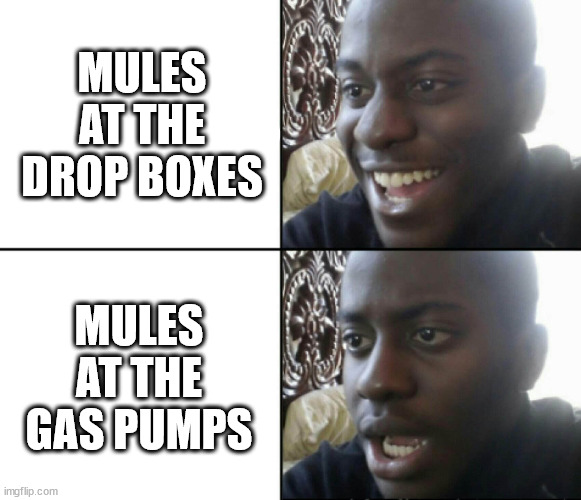 Reality catches up | MULES AT THE DROP BOXES; MULES AT THE GAS PUMPS | image tagged in happy / shock,gas prices,voting,karma | made w/ Imgflip meme maker
