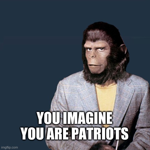 Roddy McDowell Planet | YOU IMAGINE YOU ARE PATRIOTS | image tagged in roddy mcdowell planet | made w/ Imgflip meme maker
