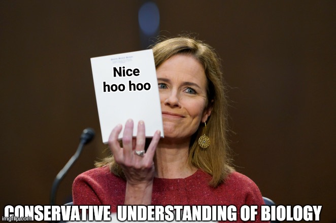 Amy Comey Barrett | Nice hoo hoo CONSERVATIVE UNDERSTANDING OF BIOLOGY | image tagged in amy comey barrett | made w/ Imgflip meme maker