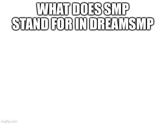 Blank White Template | WHAT DOES SMP STAND FOR IN DREAMSMP | image tagged in blank white template | made w/ Imgflip meme maker