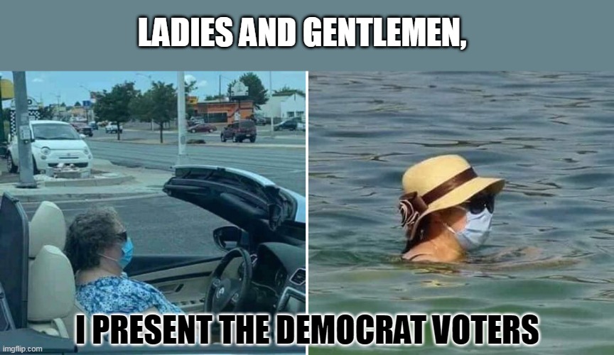 Mask in convertible and lake | LADIES AND GENTLEMEN, I PRESENT THE DEMOCRAT VOTERS | image tagged in mask in convertible and lake,democrat,idiot,moron | made w/ Imgflip meme maker