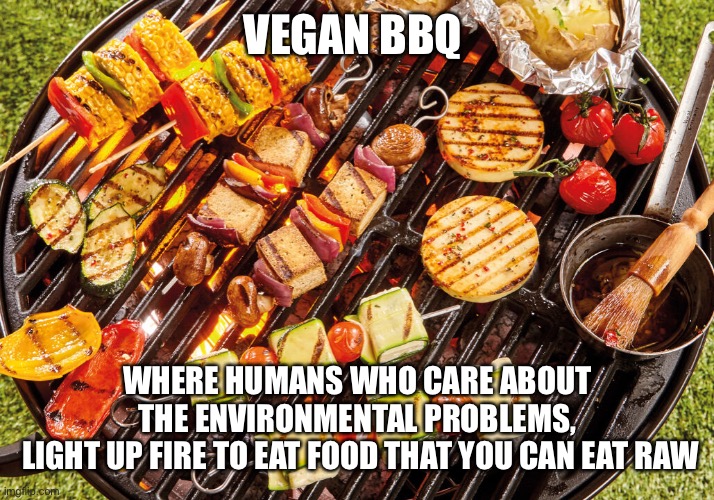 Vegan bbq | VEGAN BBQ; WHERE HUMANS WHO CARE ABOUT THE ENVIRONMENTAL PROBLEMS,
 LIGHT UP FIRE TO EAT FOOD THAT YOU CAN EAT RAW | image tagged in vegans | made w/ Imgflip meme maker