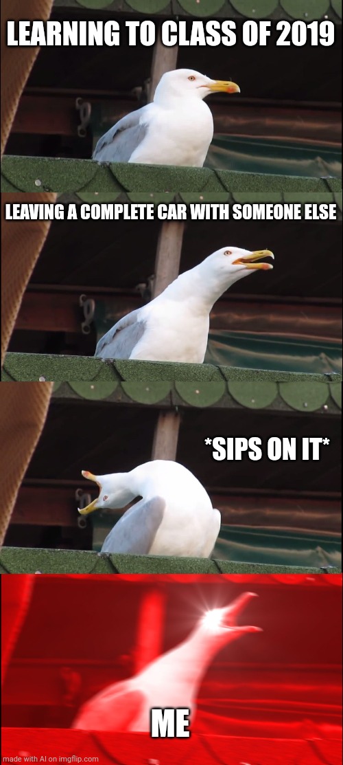 Me sipping on a car | LEARNING TO CLASS OF 2019; LEAVING A COMPLETE CAR WITH SOMEONE ELSE; *SIPS ON IT*; ME | image tagged in memes,inhaling seagull,ai meme | made w/ Imgflip meme maker