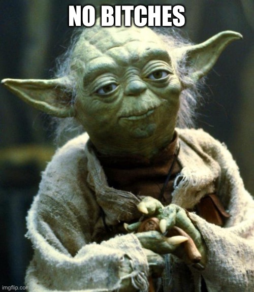 No | NO BITCHES | image tagged in memes,star wars yoda | made w/ Imgflip meme maker