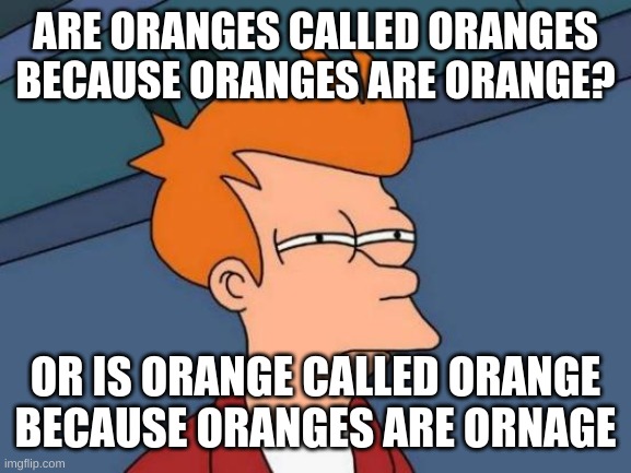 Futurama Fry | ARE ORANGES CALLED ORANGES BECAUSE ORANGES ARE ORANGE? OR IS ORANGE CALLED ORANGE BECAUSE ORANGES ARE ORNAGE | image tagged in memes,futurama fry | made w/ Imgflip meme maker