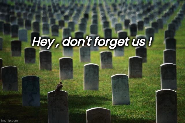 graveyard cemetary | Hey , don't forget us ! | image tagged in graveyard cemetary | made w/ Imgflip meme maker