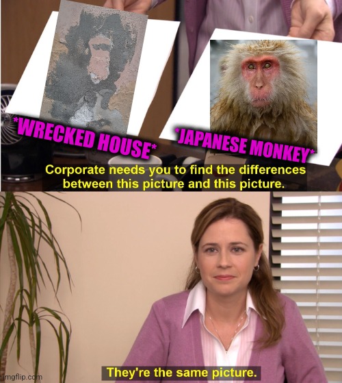 -Yy, ahaa. | *WRECKED HOUSE*; *JAPANESE MONKEY* | image tagged in memes,they're the same picture,white house,wreck it ralph,i'll never forgive the japanese,monkey business | made w/ Imgflip meme maker