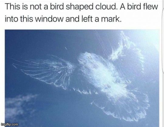 image tagged in memes,funny | made w/ Imgflip meme maker