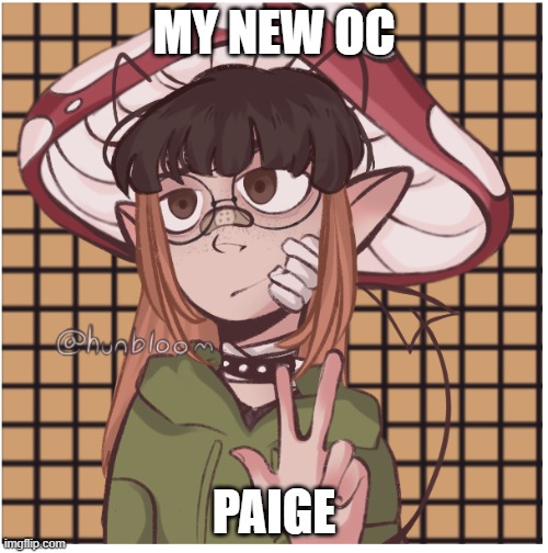 Because why not | MY NEW OC; PAIGE | image tagged in why are you reading this,there is nothing in here,now shoo | made w/ Imgflip meme maker