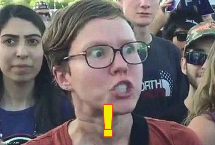 Triggered Liberal | ! | image tagged in triggered liberal | made w/ Imgflip meme maker