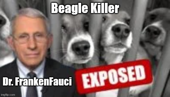 Dr. FrankenFauci the Beagle Killer | Beagle Killer; Dr. FrankenFauci | image tagged in memes,politics | made w/ Imgflip meme maker