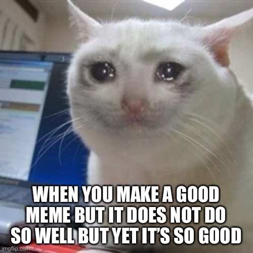 When you make a good meme but | WHEN YOU MAKE A GOOD MEME BUT IT DOES NOT DO SO WELL BUT YET IT’S SO GOOD | image tagged in crying cat | made w/ Imgflip meme maker