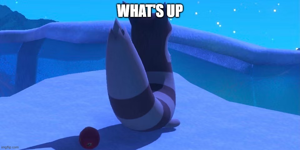 Furret | WHAT'S UP | image tagged in furret | made w/ Imgflip meme maker