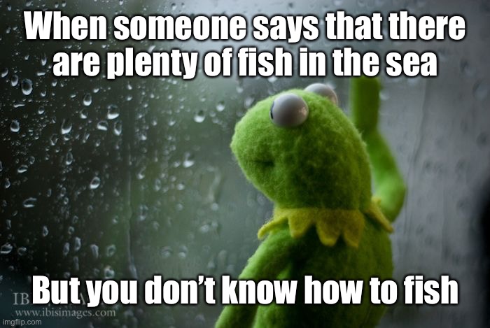 Couldn’t be me | When someone says that there are plenty of fish in the sea; But you don’t know how to fish | image tagged in kermit window | made w/ Imgflip meme maker