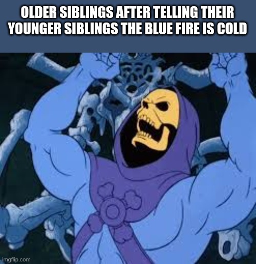 Evil Laugh Skeletor | OLDER SIBLINGS AFTER TELLING THEIR YOUNGER SIBLINGS THE BLUE FIRE IS COLD | image tagged in evil laugh skeletor | made w/ Imgflip meme maker