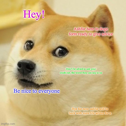 Doge Meme | Hey! Ashfur here in doge form ready to give advice; Don’t be afraid to ask your crush out, the worst they can say is no; Be nice to everyone; Bye for now- ashfur will be back with more life advice for u | image tagged in memes,doge | made w/ Imgflip meme maker