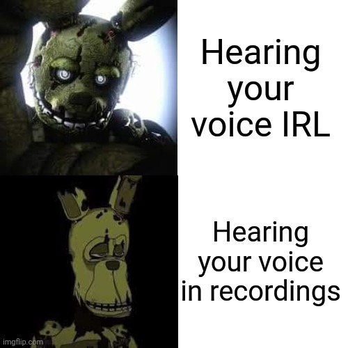 Hearing your voice IRL; Hearing your voice in recordings | made w/ Imgflip meme maker