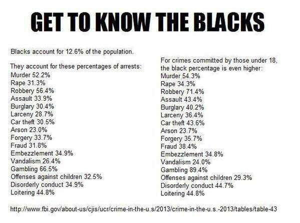 BLACK CRIMES IN USA Blank Meme Template