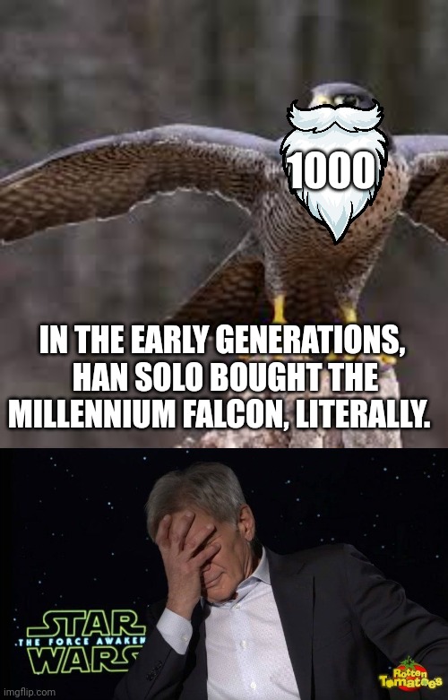 Han Solos Original Ship. | 1000; IN THE EARLY GENERATIONS,  HAN SOLO BOUGHT THE MILLENNIUM FALCON, LITERALLY. | image tagged in funny,birds | made w/ Imgflip meme maker
