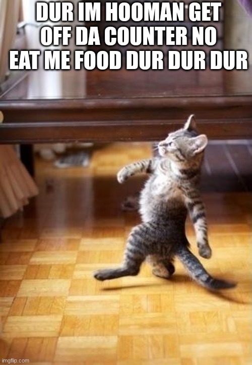 dur | DUR IM HOOMAN GET OFF DA COUNTER NO EAT ME FOOD DUR DUR DUR | image tagged in memes,cool cat stroll | made w/ Imgflip meme maker