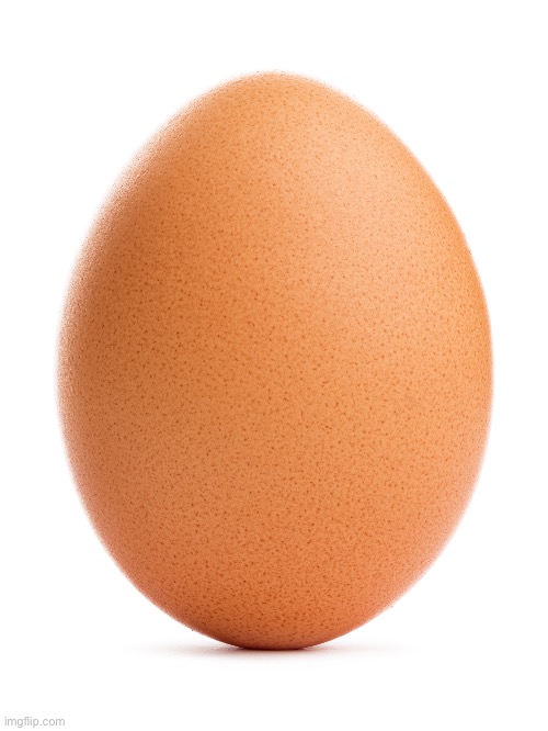EGG | image tagged in egg | made w/ Imgflip meme maker