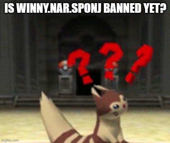 Confused furret | IS WINNY.NAR.SPONJ BANNED YET? | image tagged in confused furret | made w/ Imgflip meme maker