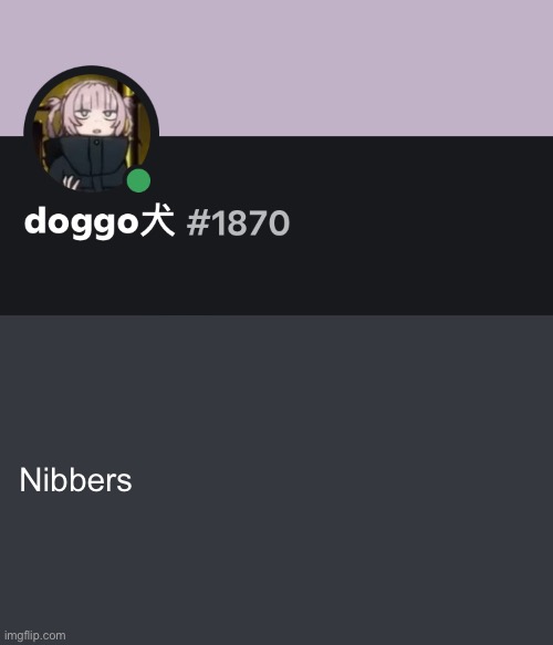 Doggo discord temp | Nibbers | image tagged in doggo discord temp | made w/ Imgflip meme maker