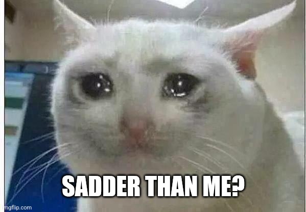 crying cat | SADDER THAN ME? | image tagged in crying cat | made w/ Imgflip meme maker