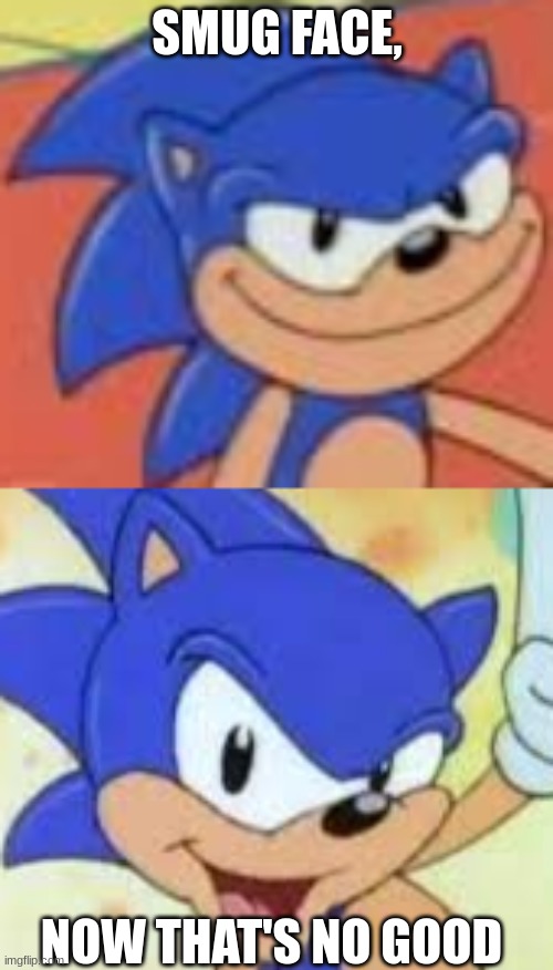 Smug Face Sonic? Now THAT'S no good. | SMUG FACE, NOW THAT'S NO GOOD | image tagged in sonic that's no good,sonic the hedgehog,sonic sez,sonic says | made w/ Imgflip meme maker