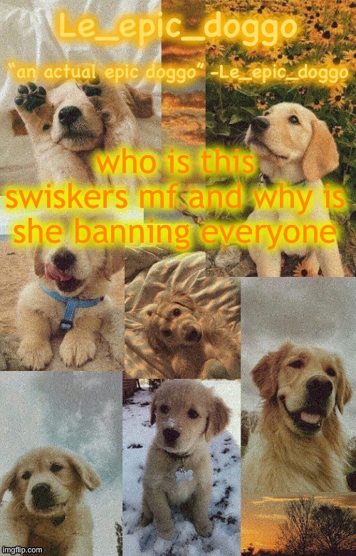 Doggo temp by doggo. Wait what that’s confusing | who is this swiskers mf and why is she banning everyone | image tagged in doggo temp by doggo wait what that s confusing | made w/ Imgflip meme maker