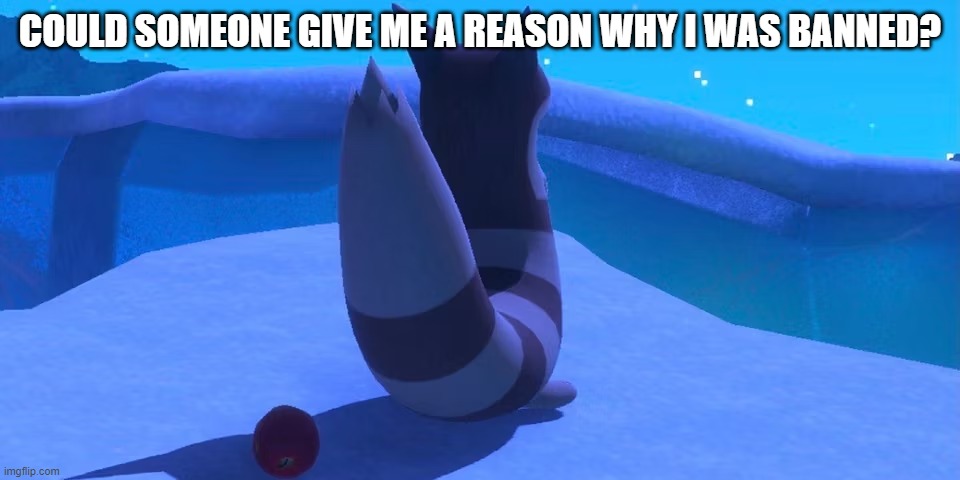 Furret | COULD SOMEONE GIVE ME A REASON WHY I WAS BANNED? | image tagged in furret | made w/ Imgflip meme maker