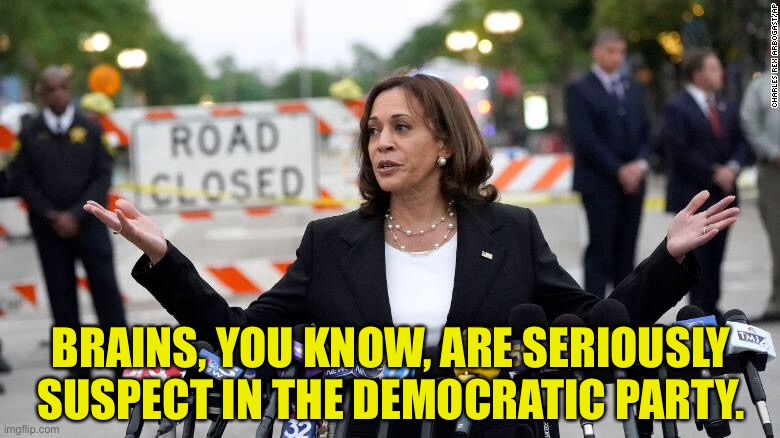 Kamala Harris | BRAINS, YOU KNOW, ARE SERIOUSLY SUSPECT IN THE DEMOCRATIC PARTY. | image tagged in harris,brains are suspect,kamala,democratic party | made w/ Imgflip meme maker