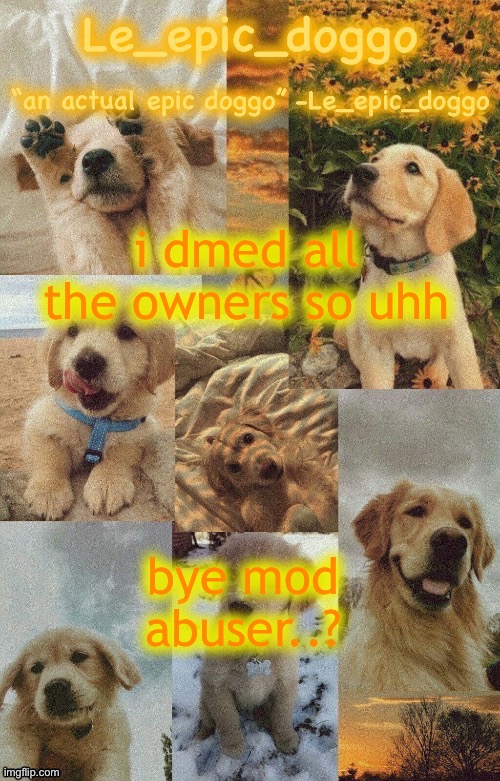 Doggo temp by doggo. Wait what that’s confusing | i dmed all the owners so uhh; bye mod abuser..? | image tagged in doggo temp by doggo wait what that s confusing | made w/ Imgflip meme maker