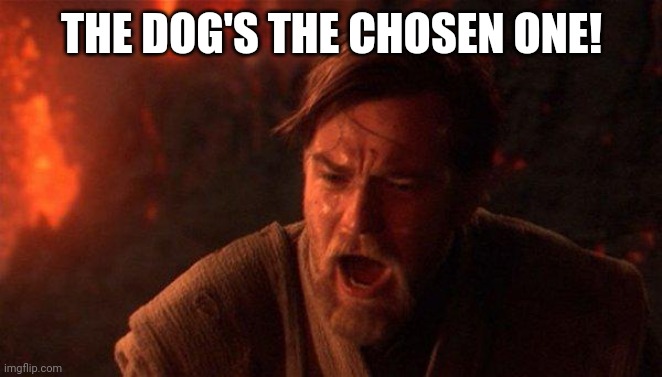 You Were The Chosen One (Star Wars) Meme | THE DOG'S THE CHOSEN ONE! | image tagged in memes,you were the chosen one star wars | made w/ Imgflip meme maker