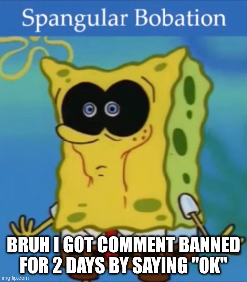 1984 | BRUH I GOT COMMENT BANNED FOR 2 DAYS BY SAYING "OK" | made w/ Imgflip meme maker