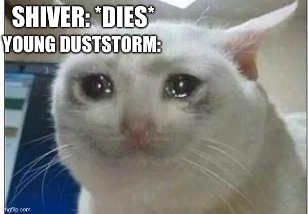 Idk | SHIVER: *DIES*; YOUNG DUSTSTORM: | image tagged in crying cat | made w/ Imgflip meme maker