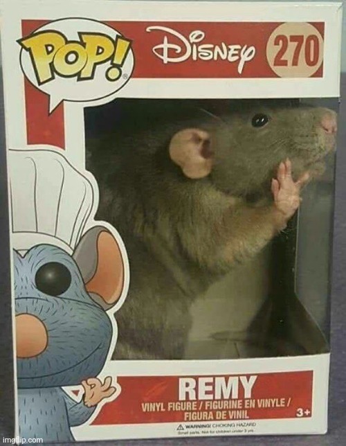 Rat | image tagged in rat | made w/ Imgflip meme maker