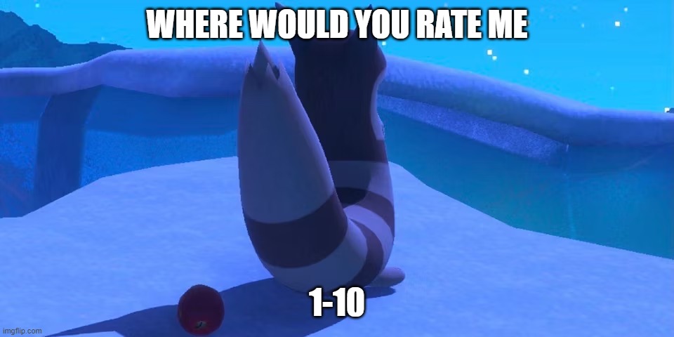 Furret | WHERE WOULD YOU RATE ME; 1-10 | image tagged in furret | made w/ Imgflip meme maker