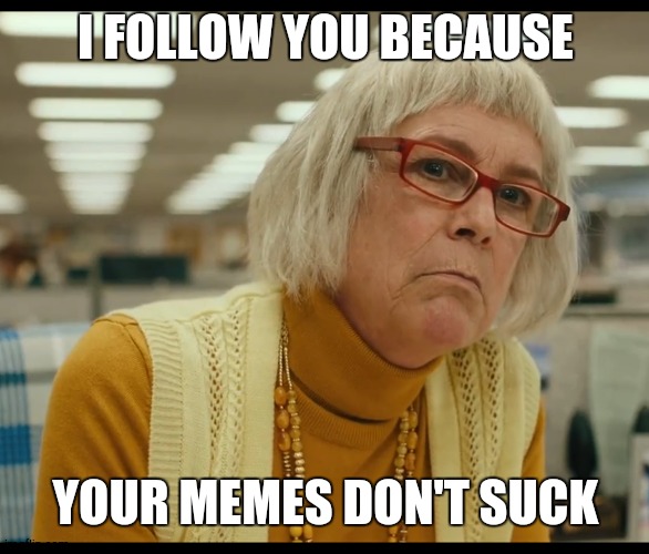 also they say to keep your friends close and your enemies closer | I FOLLOW YOU BECAUSE; YOUR MEMES DON'T SUCK | image tagged in auditor bitch | made w/ Imgflip meme maker
