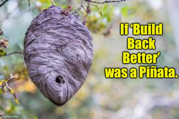 Build Back Better | If ‘Build Back Better’ was a Piñata. | image tagged in biden | made w/ Imgflip meme maker