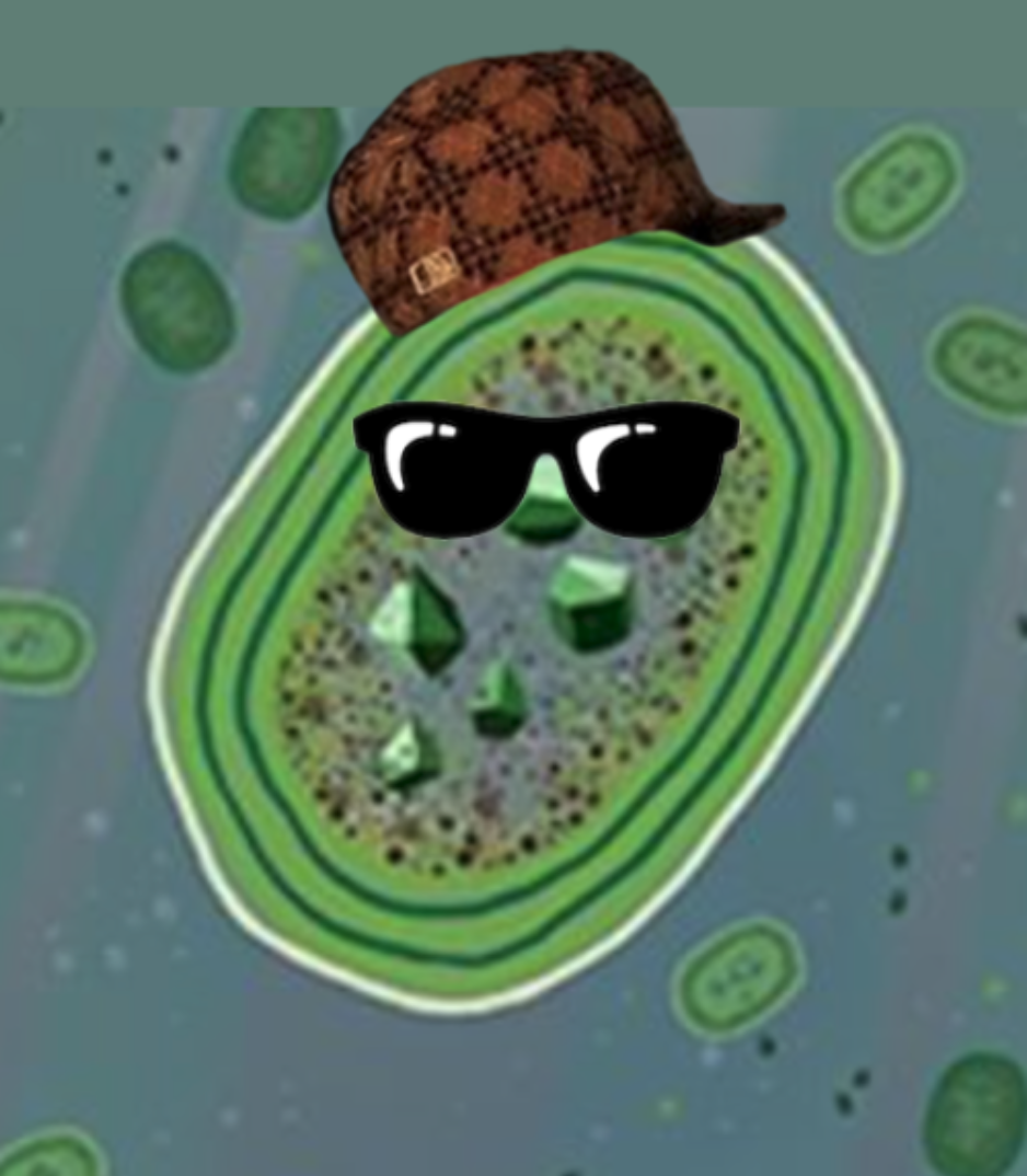 scumbag cyanobacteria Blank Meme Template