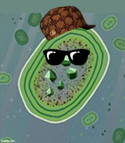 New template: Scumbag cyanobacteria | image tagged in scumbag cyanobacteria,cute,climate change,bacteria | made w/ Imgflip meme maker