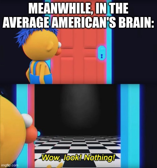 Wow, look! Nothing! | MEANWHILE, IN THE AVERAGE AMERICAN'S BRAIN: | image tagged in wow look nothing | made w/ Imgflip meme maker