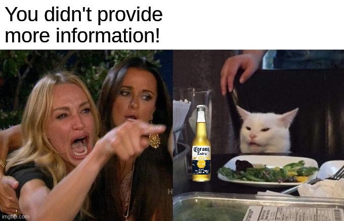 Woman Yelling At Cat Meme | You didn't provide more information! | image tagged in memes,woman yelling at cat | made w/ Imgflip meme maker