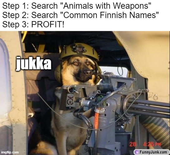 HOW TO PROFIT | Step 1: Search "Animals with Weapons"
Step 2: Search "Common Finnish Names"
Step 3: PROFIT! jukka | image tagged in animals,common names | made w/ Imgflip meme maker