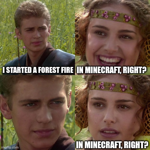 Anakin Padme 4 Panel |  I STARTED A FOREST FIRE; IN MINECRAFT, RIGHT? IN MINECRAFT, RIGHT? | image tagged in anakin padme 4 panel | made w/ Imgflip meme maker