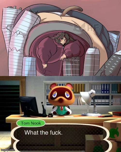 why | image tagged in memes,funny,tom nook what the fuck,floppa,anti anime,stop reading the tags | made w/ Imgflip meme maker