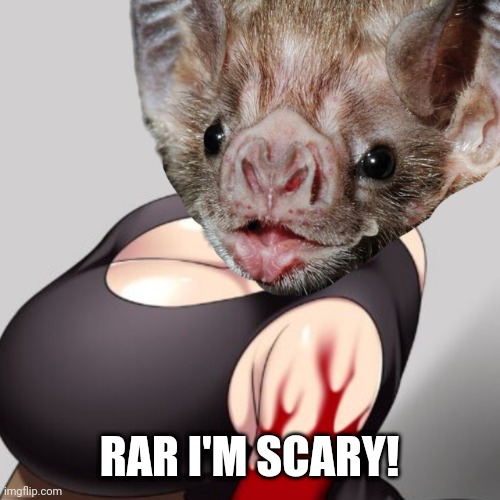 SHMECKSY BAT | RAR I'M SCARY! | image tagged in shmecksy bat | made w/ Imgflip meme maker