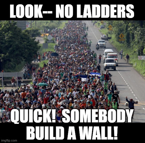 no ladders | LOOK-- NO LADDERS; QUICK!  SOMEBODY BUILD A WALL! | image tagged in migrant caravan | made w/ Imgflip meme maker